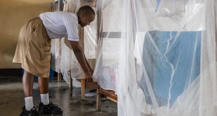 Malaria: Racing to fight against a stubborn foe 