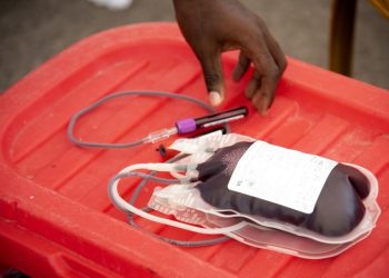 WHO Delivers Emergency Blood Supply to War-Affected Communities in Eastern DRC