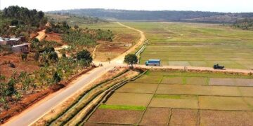 Feeder Roads Transform Lives of Farmers in Gatsibo District