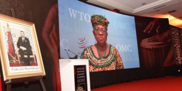 Global Trade Is Changing—WTO Boss Calls on African Leaders to Keep Up  