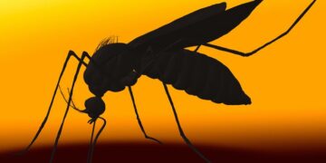 Rwanda Launches Aggressive New Malaria Strategy as Cases Surge