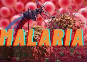 Kigali Faces Malaria Spike, Triggers Mass Testing Drive