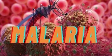 Kigali Faces Malaria Spike, Triggers Mass Testing Drive