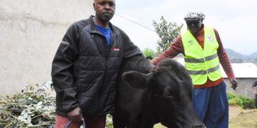 From Sheep to Stability: How Livestock is improving  livelihoods