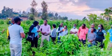 Journalists Complete Training to Boost Accuracy in Statistical Reporting 