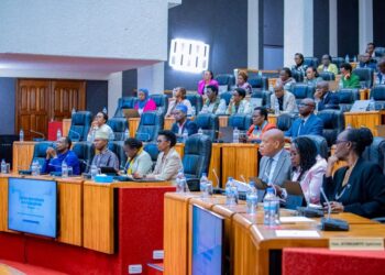 No Rwandan Leader Should Ignore Mental Health, Senate President Warns