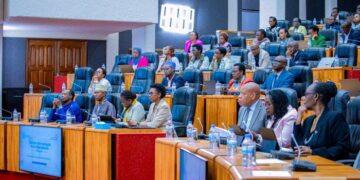 No Rwandan Leader Should Ignore Mental Health, Senate President Warns