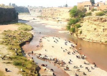 In Pakistan’s Pashtun Belt, the land’s silence tells of a changing climate — and a herding culture fighting to survive.