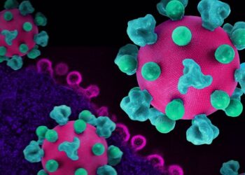 Rwanda Boosts Solar Panel Imports Amid Regional Supply Gaps