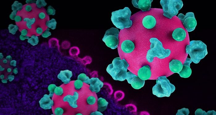 Rwanda Boosts Solar Panel Imports Amid Regional Supply Gaps