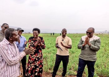 Prime Minister Lauds Nasho Farmers as Solar Irrigation Transforms Yields