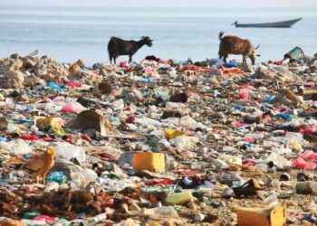 Talks on global plastic pollution treaty postponed without clear breakthrough