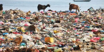 Talks on global plastic pollution treaty postponed without clear breakthrough