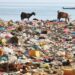 Talks on global plastic pollution treaty postponed without clear breakthrough