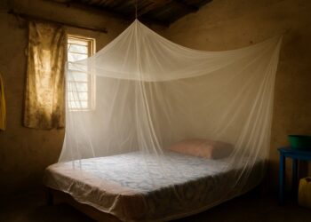 How an Unassuming Device May Help Turn the Tide Against Malaria