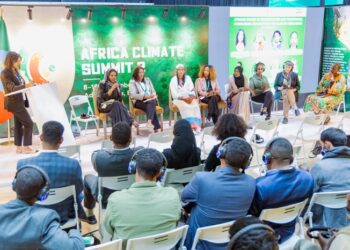 Africa Climate Summit ends with calls for increased investments in renewables, equitable transition