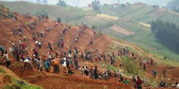 Rwanda Targets 819,000 Hectares for 2026A Planting Season