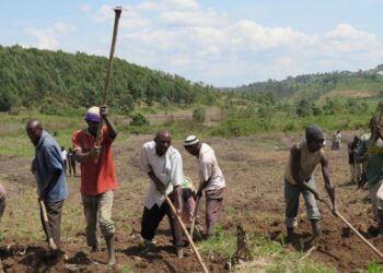Rains Arrive as Rwanda Advances 2026A Farming Preparations
