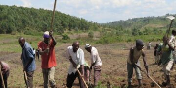 Rains Arrive as Rwanda Advances 2026A Farming Preparations
