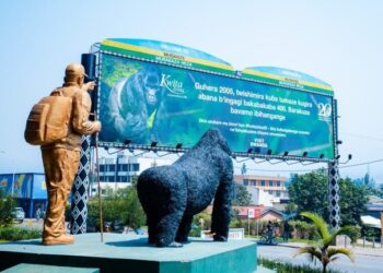Rwanda Celebrates 20th Kwita Izina Ceremony, Honoring Mountain Gorillas