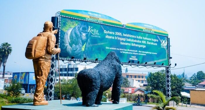 Rwanda Celebrates 20th Kwita Izina Ceremony, Honoring Mountain Gorillas