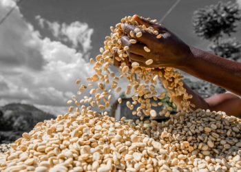 Rwandans in Kenya Celebrate 2025 Cultural Gala Showcasing National Heritage