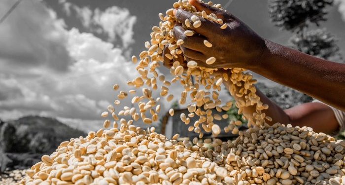 Rwandans in Kenya Celebrate 2025 Cultural Gala Showcasing National Heritage