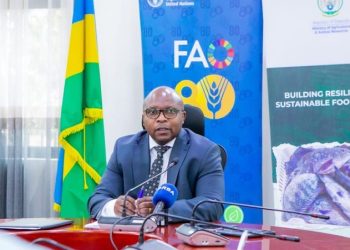 Government Initiatives Boost Food Security Across Rwanda