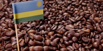 Rwandan Specialty Coffee Fetches 14 Times Market Price in Global Auction