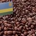 Rwandan Specialty Coffee Fetches 14 Times Market Price in Global Auction