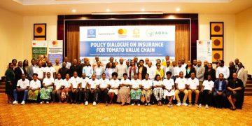 Tomato farmers advocate for crop insurance to minimize losses