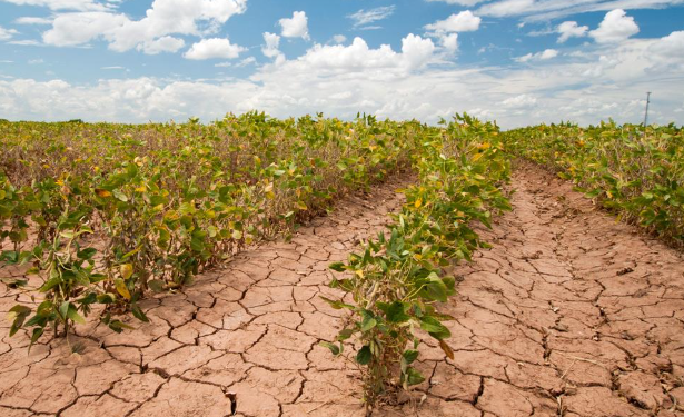 COP30: Gates Foundation’s New Commitment for Smallholder Farmers on the Frontlines of Extreme Weather in Africa