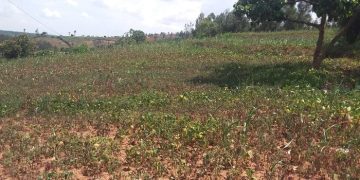 Rwanda to Invest Rwf.300 Billion in Climate Resilience Project for Eastern Province