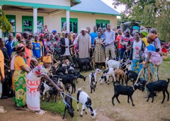 Kabarore Families Receive Goats to Boost Livelihoods