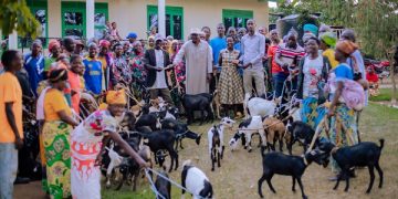 Kabarore Families Receive Goats to Boost Livelihoods