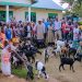 Kabarore Families Receive Goats to Boost Livelihoods