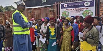 Families in Kinigi-Musanze Receive Livestock to Support Livelihoods