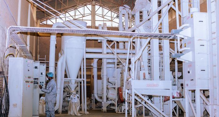 Partnering with Farmers to meet Rwanda’s Growing Rice Demand