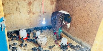PRISM Project Sets Precedent for Sustainable Small Livestock Farming in Ruhango
