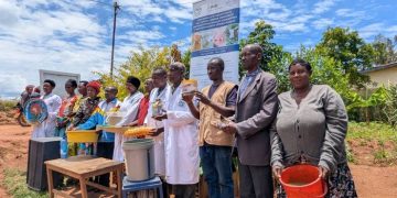 PRISM Project Beneficiaries Sustain Gains Through Affordable Feed Innovations