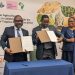 Rwanda secures €1 million agriculture deal with IITA to boost youth agribusiness