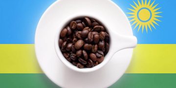 Rwandan coffee places in top five at global tasting competition in U.S.