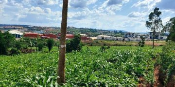 Senators flag environmental risks, worker hardships in Kigali industrial zone