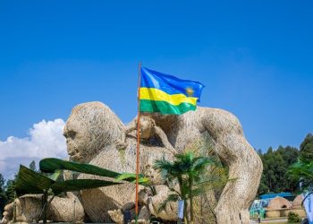 Rwanda highlights tourism growth ahead of 2026 gorilla naming ceremony