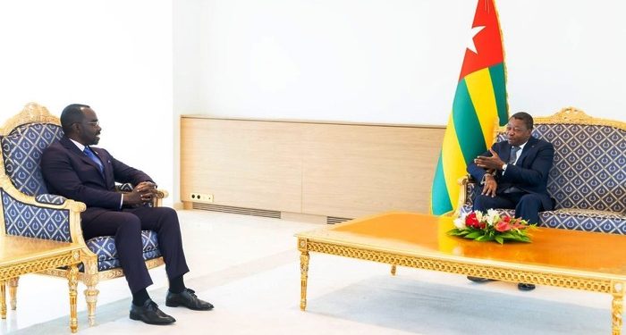 Rwanda, Togo discuss expanding trade in agricultural products