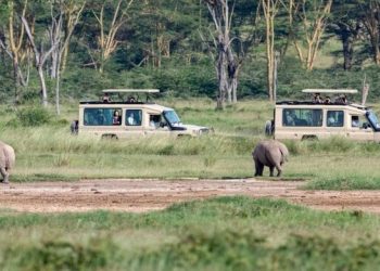 Rwanda reassures tourists as region battles Ebola outbreak