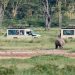 Rwanda reassures tourists as region battles Ebola outbreak