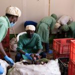 Rwanda expands cold storage as farm subsidy gap reaches Rwf17.2 billion storage