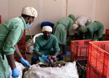 Rwanda expands cold storage as farm subsidy gap reaches Rwf17.2 billion