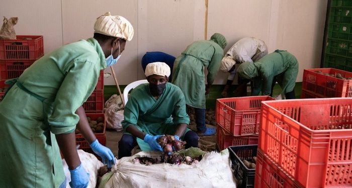 Rwanda expands cold storage as farm subsidy gap reaches Rwf17.2 billion